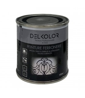 Delkolor Peinture spéciale Ferronnerie 100 ml - Noir