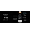 Peinture aérosol DELKOLOR 1922 MAT - 400 ml Peinture aérosol DELKOLOR 1922 MAT - 400 ml