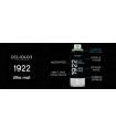 Peinture aérosol DELKOLOR 1922 MAT - 400 ml Peinture aérosol DELKOLOR 1922 MAT - 400 ml