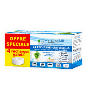 PACK SPECIAL x4 recharges galets percés 425g pour absorbeur d'humidité